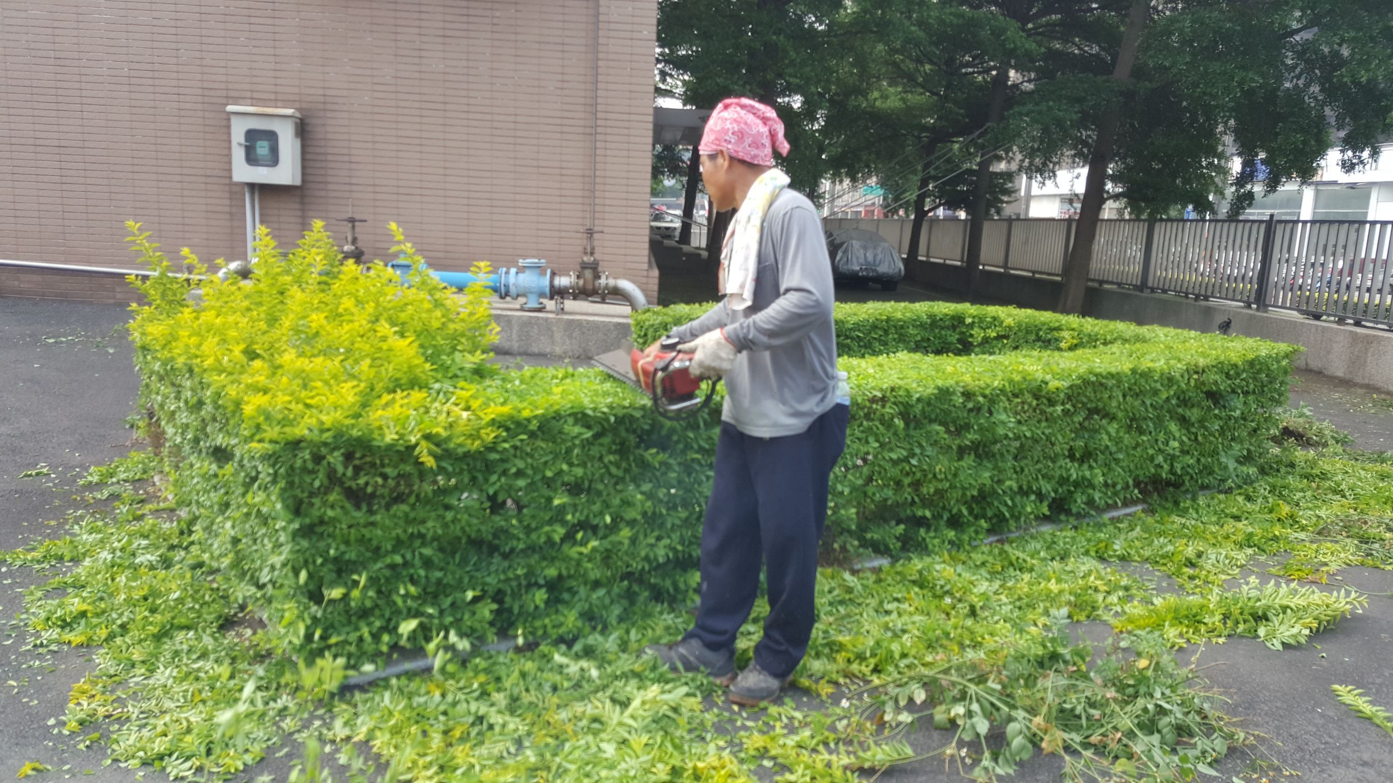 園藝草木修整維護